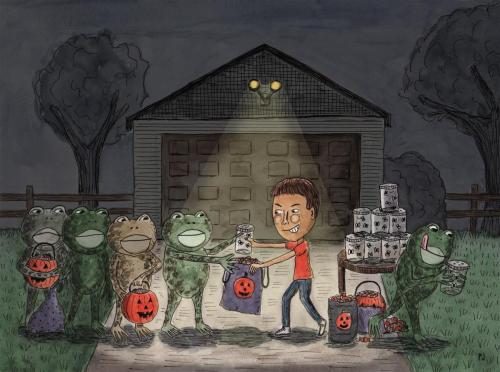 Toad